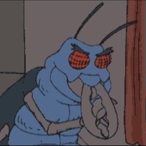 Meet your Posher, Alexander